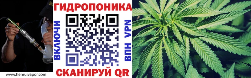 Каннабис планчик Чегем